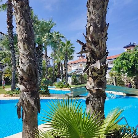 Sunny Apartment Costa Blanca Ла-Мата Экстерьер фото